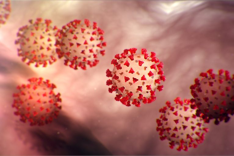 Corona Virus
