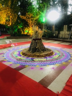 Festival of Holi